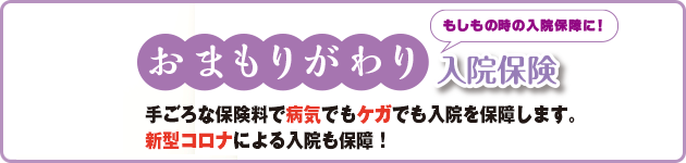 告知なしでも入れる入院保険 おまもりがわり難病プラン